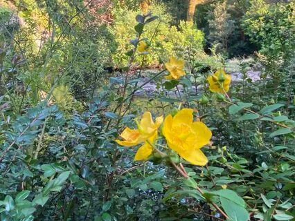 Energy Healing Affirmations