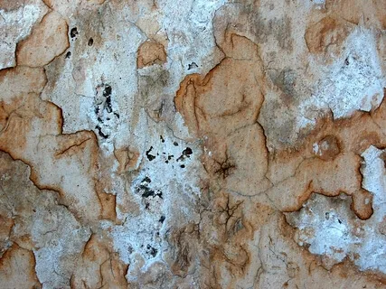 Presence Is Paramount | The Essence Of Healing And Spirituality