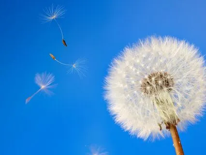 Energy Healing Guided Meditation For Mental Health | 528Hz