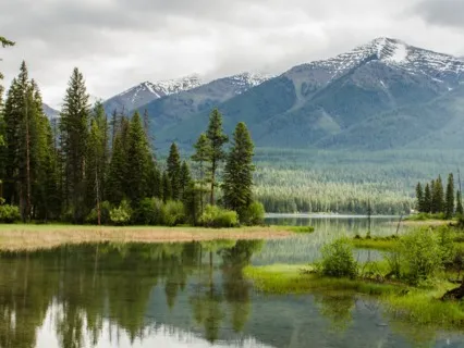 Energy Healing Guided Meditation (Release Negative Energy)