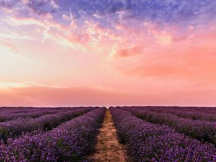 Energy Healing | Learn To Feel Energy + Body Scan