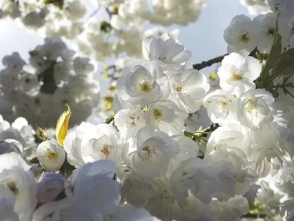 Energy Healing Practice