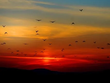 Energy Healing Meditation Music 2