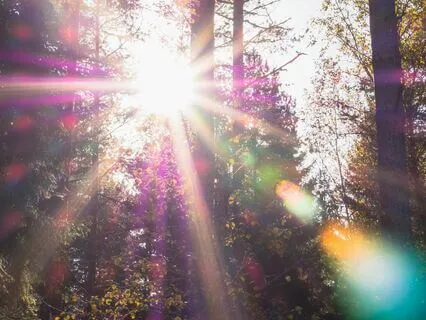 Energy Healing Practice For Balancing The Chakras