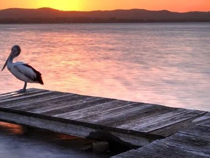 Energy Healing Somatic Awareness Meditation