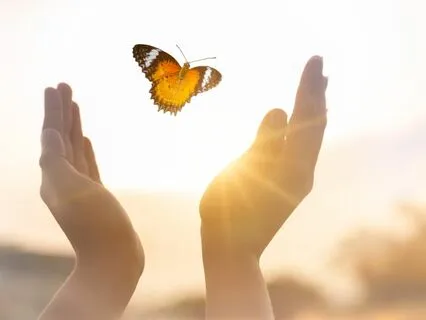 Energy Healing For Compassion Fatigue