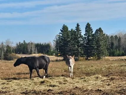 Energy Is Always Flowing