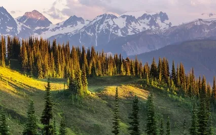 Energy Is Being Wasted In The Excessive Thought Activities