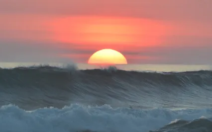 Energy Is Either To Clear The Disorder Or Wasted In Disorder