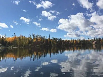 Energy Management: Clear, Ground, Circulate, Protect