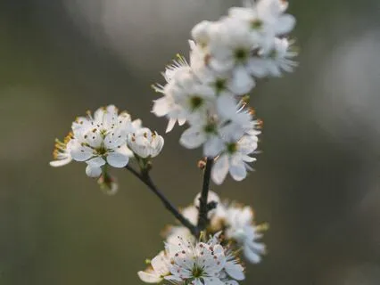 Energy Meditation To Heal Our Past