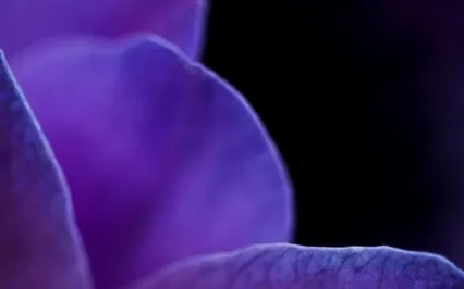 Energy Of Expression