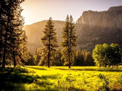 Energy Of Prosperity & Success 888Hz