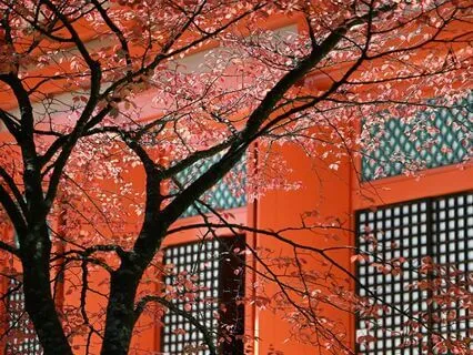 Energy Power - Healing Music