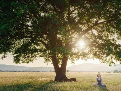 Energy Renewal: Anxiety Relief Music