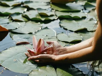 Energy Renewal Rhythms