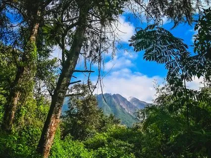 Energy Renewal: Stress-Free Tunes