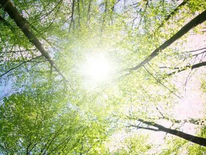 Energy Reset: Clear, Reclaim, And Renew