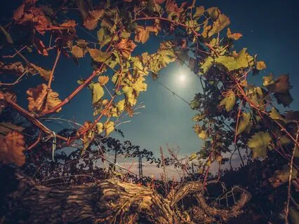 Energy Reset: Soothing Sounds For Sleep