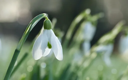 Enfolding A Loved One With Care