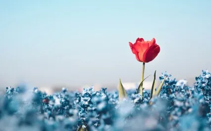 Engage In Creative Mind, A Spiritual Mind Treatment