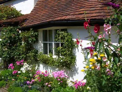 English Country Garden Harp - Uplifting Birdsong