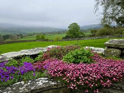 English Countryside Birdsong Soundscape: Relaxing Listen