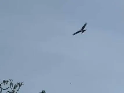 English Skyscapes 1 Minute Reset In Nature