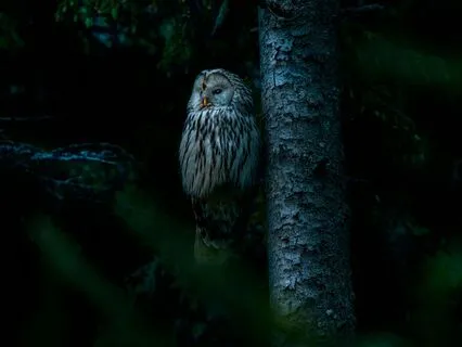 English - Sleep Meditation In Positivity For Children