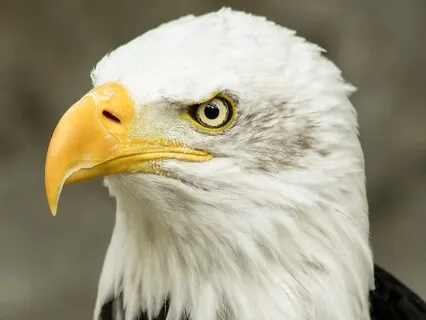 Enhance Focus & Concentration | Focus Music