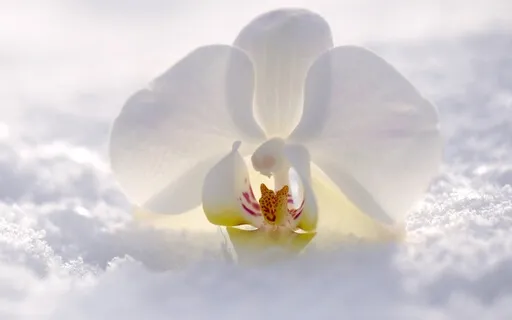 Enhance Your Awareness With Stillness And Sound Meditation