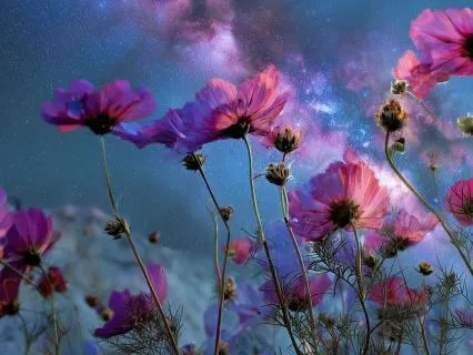 Enhance Your Intuition While You Sleep (Long Version)