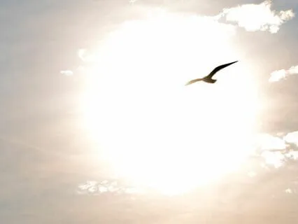 Enhance Your Joy Frequency