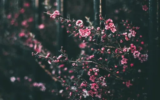 Enhance Your Mediumship Abilities Sleep Meditation