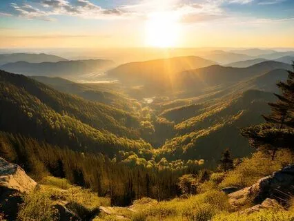 Enhance Your Physical Well-being: Focused Visualization