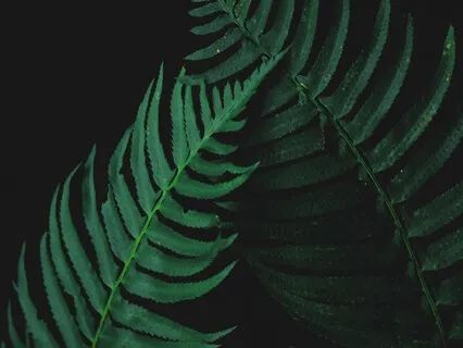 Heal Your Relationship By Clearing Patterns & Conditioning