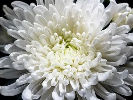 Enhanced Focus & Relaxation Music | Boost Study Performance