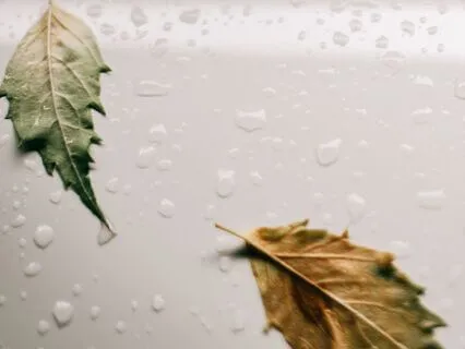 Enhanced Focus & Sleep With White Noise Relaxation [30 Mins]