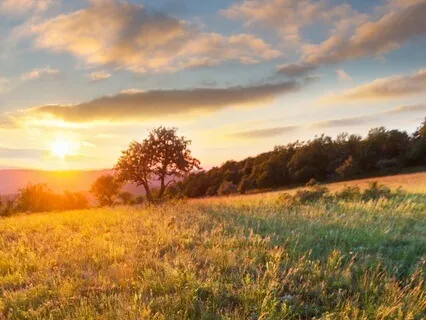 Enhancing Communication Meditation