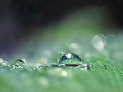 Enhancing Focus With Breath Awareness