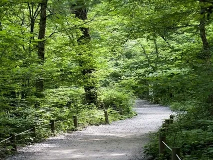 Enhancing Recovery - Achieving Psychological Wellness 