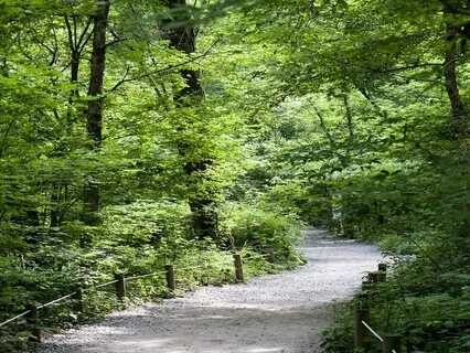 Enhancing Recovery - Communication Skills, Part 1