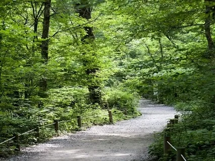 Enhancing Recovery - Communication Styles