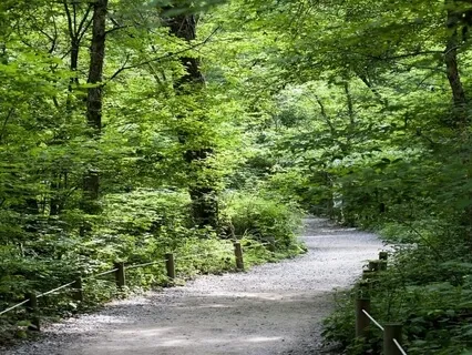 Enhancing Recovery - Conflict Resolution 