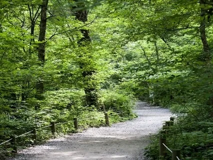 Enhancing Recovery - Decision-Making