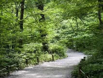 Enhancing Recovery - Discovering Your Past - Changing The Future