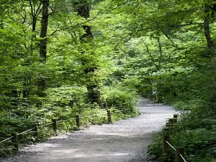 Enhancing Recovery - Forgiving Others, Forgiving Yourself