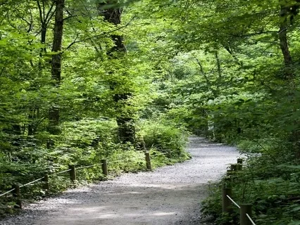 Enhancing Recovery - How To Avoid Relapses