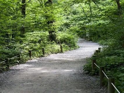 Enhancing Recovery - Identity And Recognition