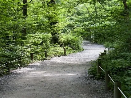 Enhancing Recovery-Introduction and 4 Dimensions Of Recovery